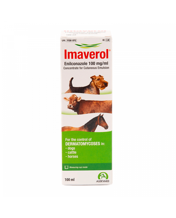 Imaverol for dogs sale